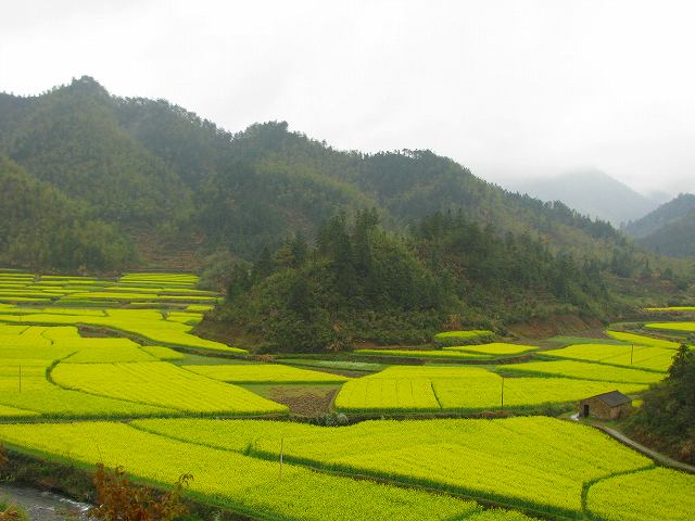 婺源