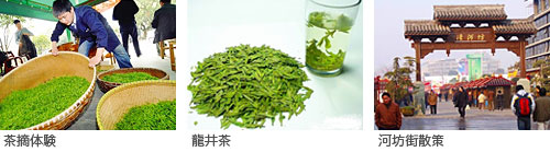茶摘体験/龍井茶/河坊街散策